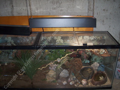150 gallon hermit crab tank